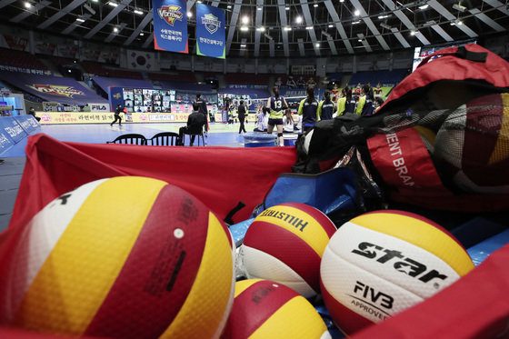 프로배구 여자부가 20일부터 재개된다. /뉴스1 © News1