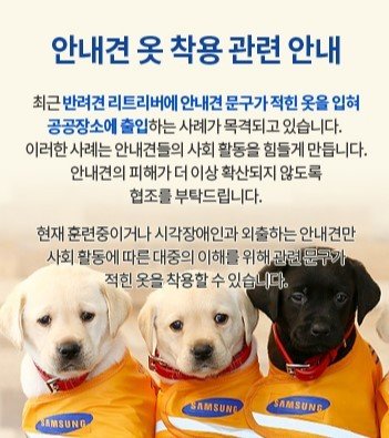 (삼성화재안내견학교 홈페이지 갈무리) © 뉴스1