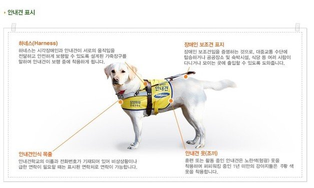 (삼성화재안내견학교 홈페이지 갈무리) © 뉴스1