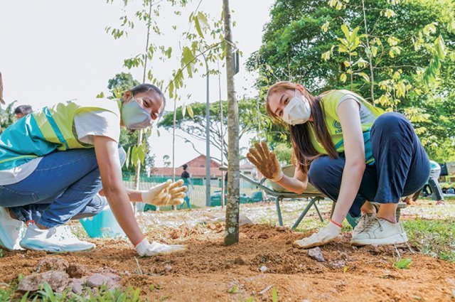 싱가포르 하나님의 교회 신자들이 국가개발부 산하 국립공원 관리위원회와 협업해 민든로드 국유지에 50그루의 나무를 심었다.