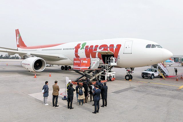 티웨이항공 A330-300은 최대 운항 거리가 약 1만 km로 동남아와 동유럽, 호주 등까지 닿을 수 있다. 사진공동취재단