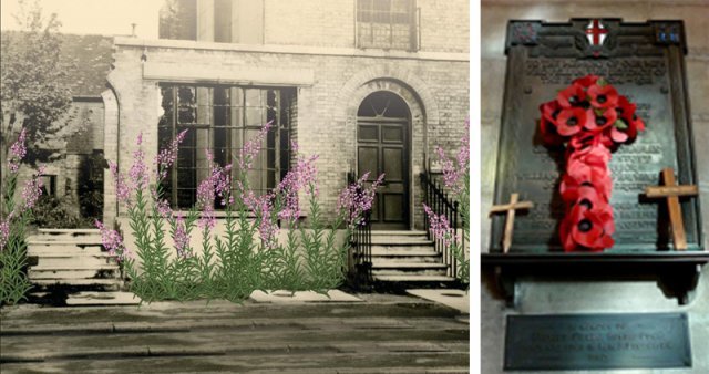 제2차 세계대전 종전 직후 영국 런던을 배경으로 한 질리언 페르난데스 모튼의 소설 ‘밤위드’ 표지(왼쪽 사진). 당시 독일 공군 
폭격으로 폐허가 된 런던 시내 곳곳에 보랏빛 분홍바늘꽃이 피었다. 오른쪽은 영국의 1차 대전 참전 용사 추모석 앞에 놓인 
양귀비꽃. GF 모튼 제공