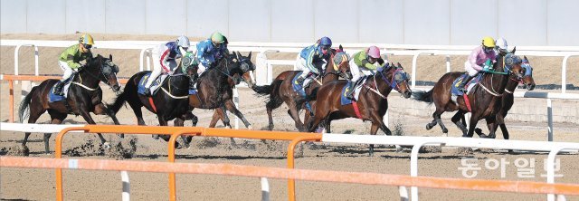 5세 암말 라온퍼스트(왼쪽)가 27일 경기 과천시 서울경마공원에서 8경주(1800m)로 열린 제25회 동아일보배 대상경주에서 
최범현 기수와 호흡을 맞추며 전속력으로 질주하고 있다. 뒤따르는 말과 4마신 차로 여유롭게 결승선을 통과하며 우승을 차지한 
라온퍼스트는 대상경주 3연속 우승을 기록했다. 과천=김재명 기자 base@donga.com