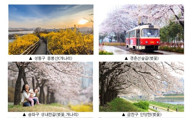 서울 주요 꽃길(서울시제공)© 뉴스1