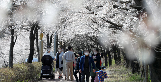 포근한 봄 날씨를 보인 2일 전북 전주시 조경단로 일원에 활짝 핀 벚꽃 아래에서 시민들이 산책을 즐기고 있다. 2022.4.2/뉴스1