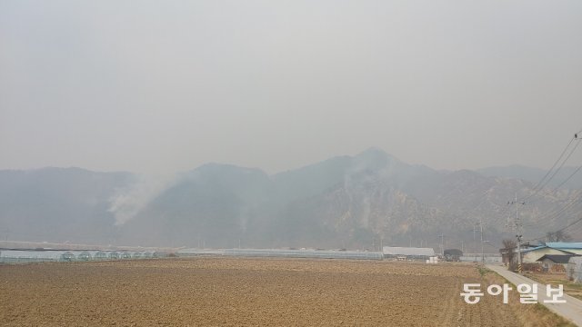 11일 강원 양구군 국토정중앙면 산 곳곳에서 연기가 피어오르고 있다. 산불 2일째인 이날 짙은 연무로 헬기 투입이 지연되면서 소방당국이 진화에 어려움을 겪었다. 양구=이인모 기자 imlee@donga.com