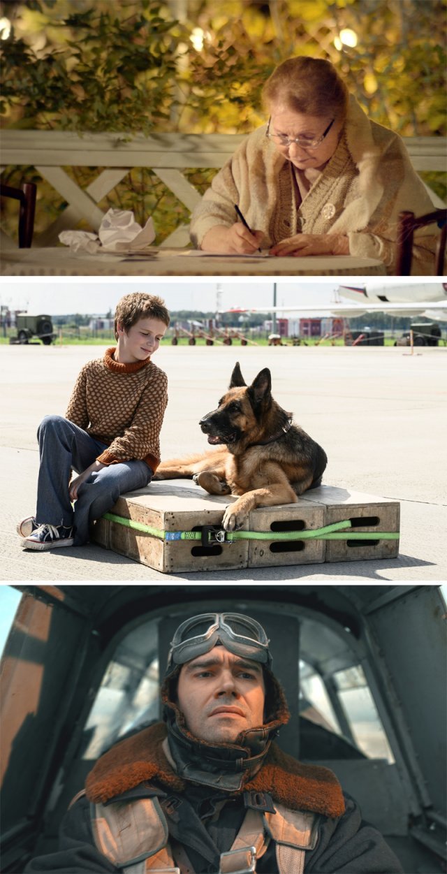 ‘행복을 전하는 편지’에서 아들에게 편지를 쓰는 할머니, ‘팔마’에서 활주로에 앉아 있는 콜리아와 떠돌이 개 팔마, ‘파일럿: 배틀 포 서바이벌’에서 출격하는 소련 공군 조종사(위 사진부터). 히스토리필름·라이크콘텐츠·박수엔터테인먼트 제공