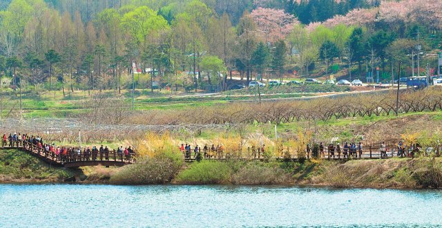 대전의 대청호 오백리길은 호숫길을 호젓하게 걸으며 아름다운 풍광을 감상할 수 있는 힐링 코스다. 대부분 평지여서 남녀노소가 즐길 수 있다.