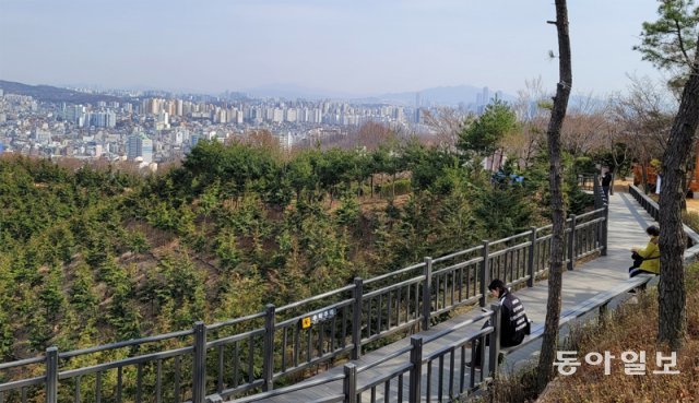 6일 서울 은평구 봉산에 조성된 편백숲길에서 시민들이 휴식을 취하고 있다. 은평구는 이 일대에 2014년부터 편백나무 약 1만2400그루를 심었다. 강승현 기자 byhuman@donga.com