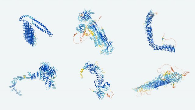 알파폴드가 해독한 여러 단백질의 3차원(3D) 구조. 다양한 단백질 구조를 통해 생명 현상에 관여하는 단백질의 기능이 구현된다. 딥마인드 제공