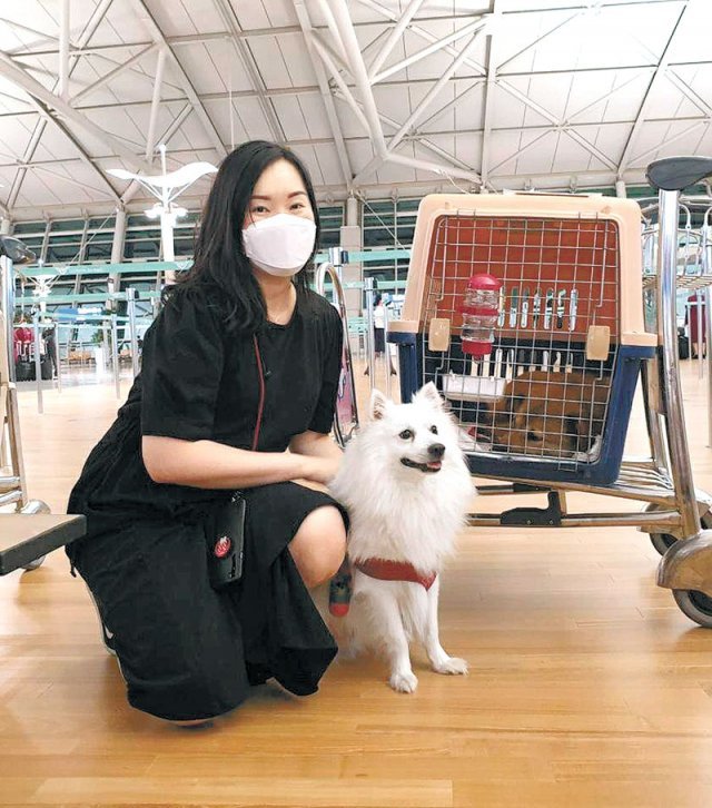 유기견 해외 입양 봉사에 참여한 김민경 씨가 강아지 ‘노랑이’와 공항에서 탑승 수속을 기다리고 있다.