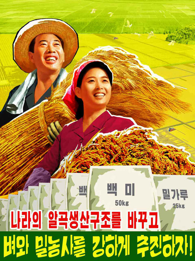 ‘나라의 알곡 생산구조를 바꾸고 벼와 밀농사를 강하게 추진하자’는 문구가 적힌 북한 선전화.(평양 노동신문=뉴스1)