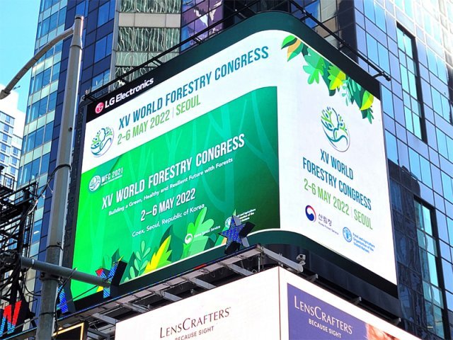 미국 뉴욕 타임스스퀘어 전광판에서 소개되고 있는 제15차 세계산림총회 홍보 영상. 산림청 제공