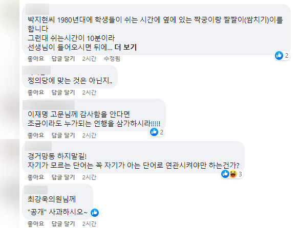 박지현 더불어민주당 공동비상대책위원장 페이스북 댓글 캡처