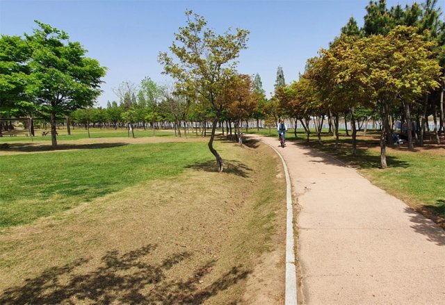 인천시가 걷기 좋은 길로 선정한 학익 에코메트로파크(남항근린공원)에서 한 시민이 자전거를 타고 있다. 이 공원은 면적이 16만5000여 ㎡에 이른다. 김영국 채널A 스마트리포터 press82@donga.com