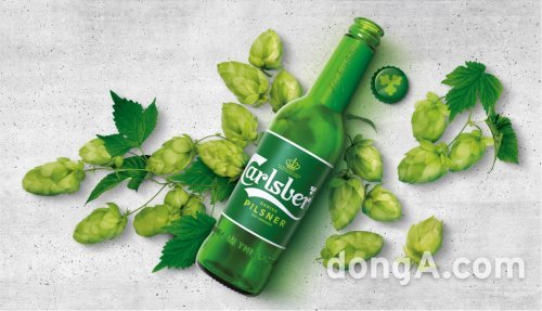 칼스버그 제품 이미지