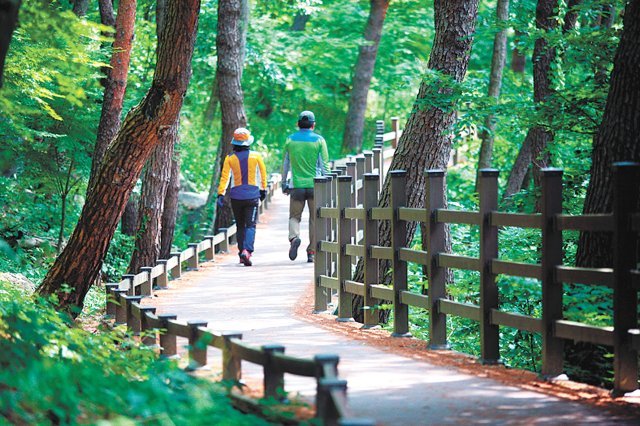 전남 화순군은 계절마다 다른 풍광을 자랑하는 명산이 있어 산림 힐링 관광 명소로 꼽힌다. 화순읍 자락의 만연산 오감연결길은 남녀노소 모두 편안하게 산책을 할 수 있어 인기를 끈다. 화순군 제공