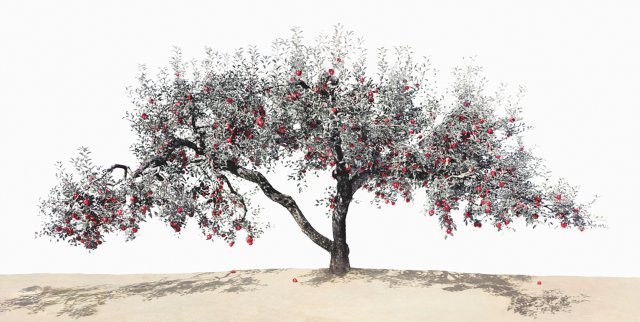 김광수 사진작가의 ‘이브의 사과’(2018년). 사과나무 아래 모래를 깔아 비현실적인 장면을 연출했다. ⓒ김광수