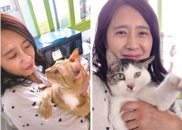 고양이 쉼터 ‘길동이하우스’ 김현정 대표는 길에서 구조한 고양이 50여 마리를 보살피고 있다.