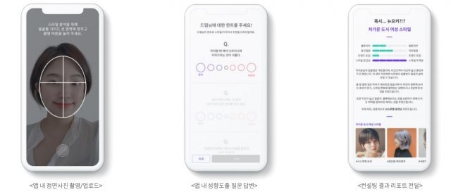 고객 정보를 바탕으로 트렌드를 반영해 스타일을 추천하는 드리머리, 출처: 드리머리