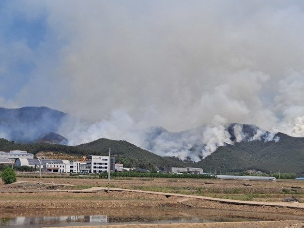 31일 오전 9시24분쯤 경남 밀양시 부북면 춘화리 야산 정상 부근에서 발생한 산불로 연기가 솟아 오르고 있다. 2022.5.31/뉴스1 © News1
