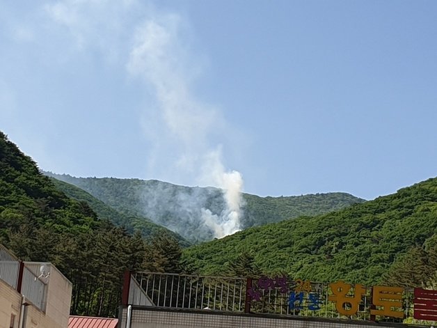 2일 오전 7시36분쯤 강원 정선군 남면 무릉리에서 원인 불명의 산불이 발생하자 산림당국이 헬기 4대와 여러 장비, 인력 65명을 현장에 투입해 진화작업을 벌이고 있다. (정선군 제공) 2022.6.2/뉴스1