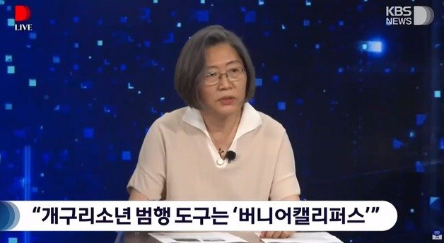 이수정 경기대 범죄심리학과 교수. (KBS 갈무리) ⓒ 뉴스1