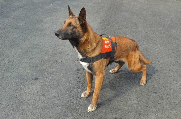 경기도북부소방재난본부