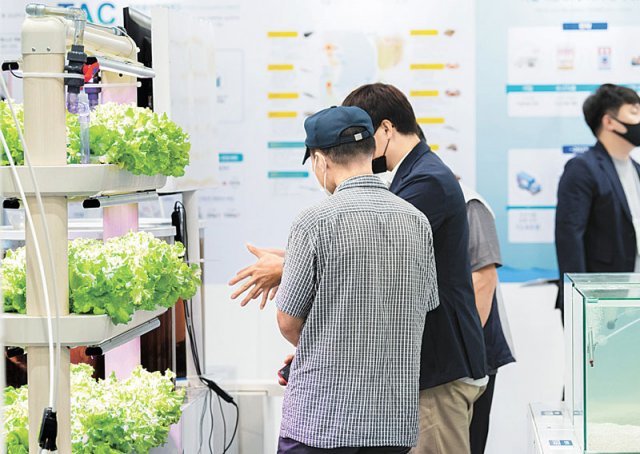 10∼12일 서울 서초구 양재동 aT센터에서 ‘청년어촌, 활력바다’라는 주제로 ‘2022 귀어귀촌 박람회’가 열린다. 귀어귀촌인 강연 등이 펼쳐진다. 해양수산부 제공