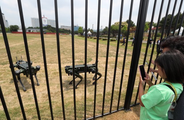 4족 로봇견 두 마리가 대통령실 앞뜰 잔디마당을 이리저리 다니며 경계를 하고있다.
