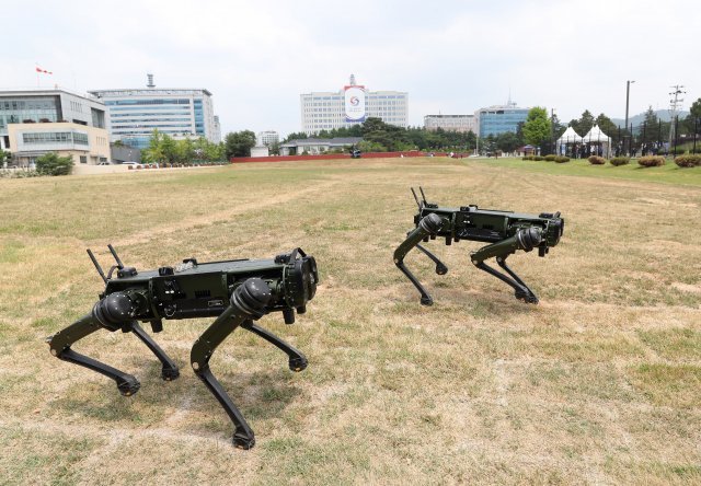 4족 로봇견 두 마리가 대통령실 앞뜰 잔디마당을 이리저리 다니며 경계를 하고있다.
