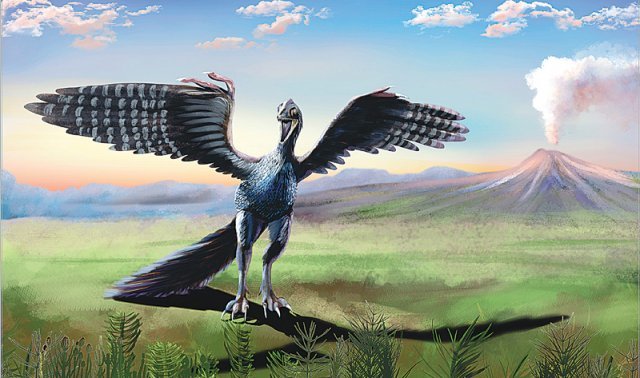 시조새는 조류와 파충류의 중간 형태다. 이빨과 손가락, 안정 장치인 긴 꼬리가 있었다. 을유문화사 제공