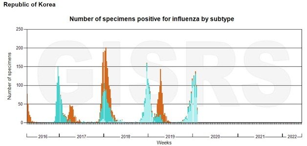 2016년 봄부터 현재까지의 우리나라의 인플루엔자 주간 양성 표본 수. 2020년과 2021년, 그리고 올해까지는 독감환자가 거의 발생하지 않았다. WHO
