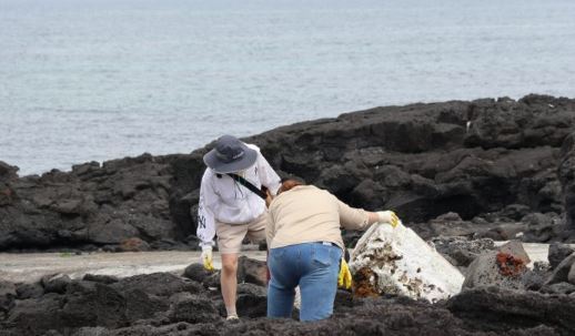 제주환경운동연합