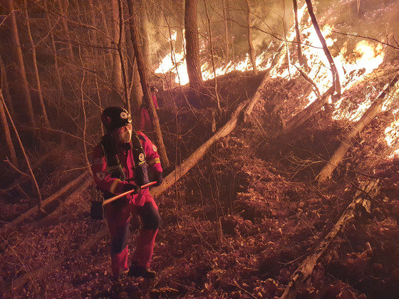 3월 4일 강원도 산불 화재 지역에서 산림청 산림항공본부 대원이 지상 진화 작업을 하고 있다. (산림청 제공) 2022.3.5/뉴스1