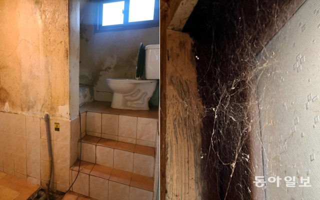 A 씨 집의 화장실 세 개의 계단을 올라야 한다.(왼쪽) A 씨 집 화장실 창문에 드리워진 거미줄.