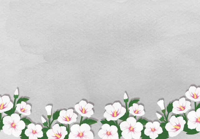 게티이미지코리아