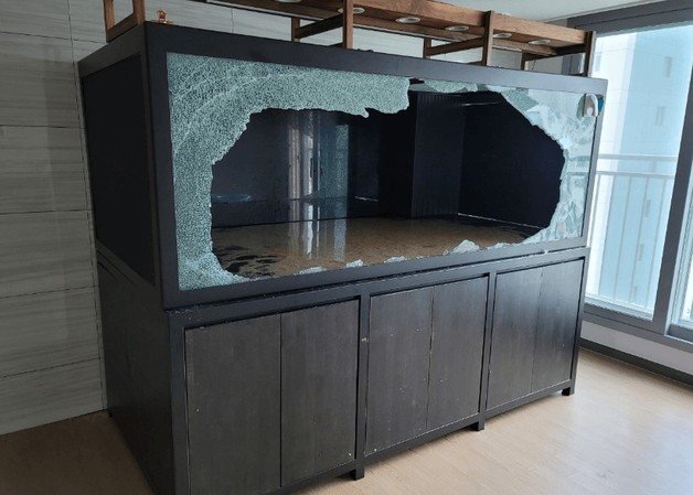 처참하게 깨져버린 대형 수조 (온라인 커뮤니티 갈무리) © 뉴스1