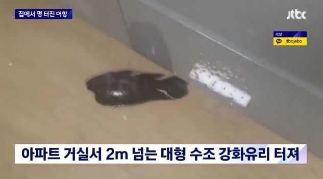 JTBC 뉴스 캡처
