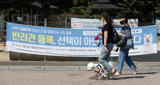 30일 서울 마포구 월드컵공원반려견 놀이터를 찾은 시민들과 반려견들이 시간을 보내고 있다. 2021.9.30/뉴스1