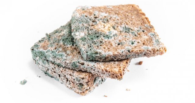 게티이미지뱅크