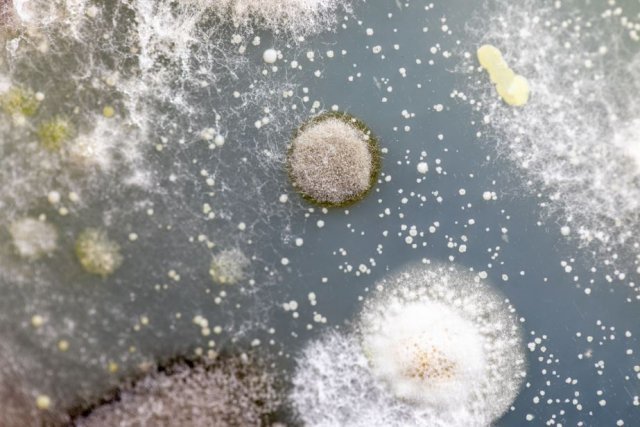 게티이미지뱅크