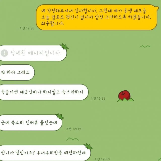 김가을 씨 언니가 공개한 악성 메시지. 인스타그램 갈무리