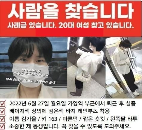 김가을 씨 실종 전단. 온라인 커뮤니티 갈무리