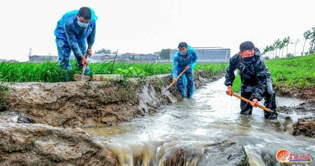 북한 노동당 기관지 노동신문은 30일 “각지 농업부문 일꾼들과 근로자들이 배수양수설비 가동, 비배관리대책 마련, 포전둘레 물도랑 치기 등 농작물을 최대로 보호하는데 모를 박고 큰물(훙수) 피해를 막기 위한 투쟁을 긴장하게 벌이고 있다“고 전했다.  (평양 노동신문=뉴스1)