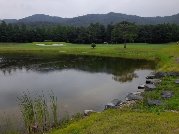 경기 양주시 만송동 레이크우드 컨트리클럽(CC) 내부 밀폐공간서 작업하던 중 쓰러져 2주 동안 사경을 헤맨 끝에 지난 10일 숨진 김모씨(53)의 휴대전화 속에 찍힌 골프장 내 연못의 모습. (김씨 가족 제공) © 뉴스1