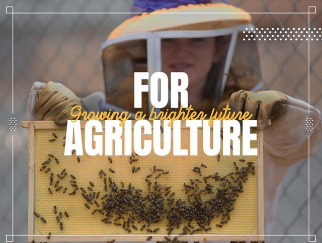 '미국의 미래 농부들'의 프로그램 소개 사진. 출처 = FFA 홈페이지