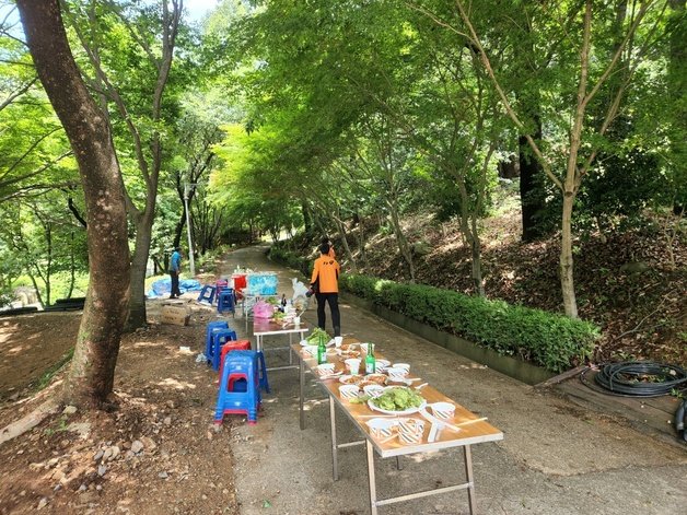 19일 오전 11시31분쯤 전남 해남군 흑석산 자연휴양림에서 벌 쏘임 사고가 발생, 소방당국이 구조 활동을 하고 있다. (해남 소방 제공) 2022.7.19/뉴스1© 뉴스1