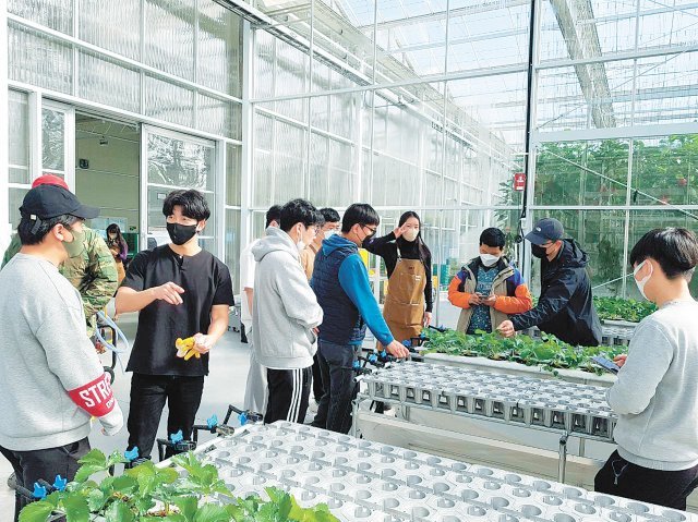 경남 스마트팜 청년창업보육센터 실습 현장.