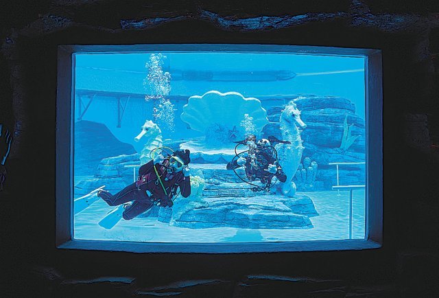 다이빙존에서는 스쿠버다이빙 체험이 가능하다. 웨이브파크 제공